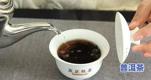 正酽普洱茶-正味普洱茶