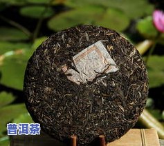 古树龙珠生茶怎样泡-古树龙珠生茶怎样泡制