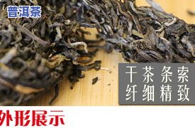 古树龙珠生茶怎样泡-古树龙珠生茶怎样泡制