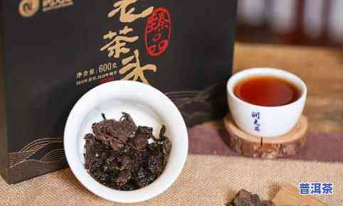 最有名的普洱茶，「普洱茶」：品味最纯正的老茶头