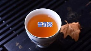 普洱茶上不存在数字假的-普洱茶不存在编号好不好