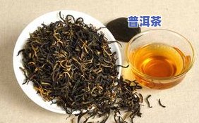 金骏眉与普洱茶的区别，品味差异：金骏眉与普洱茶的五大区别