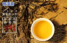 那个普洱好喝、便宜又香，你不可错过的茶饮选择！