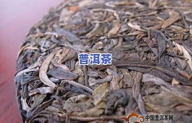 浙江普洱茶-浙江普洱茶产地