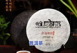 云南普洱茶加工基地在哪里-云南普洱茶加工基地在哪里啊