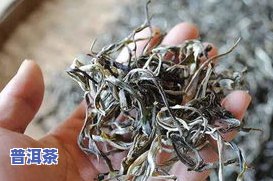 普洱茶十大的价格-普洱茶十大的价格是多少