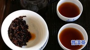 福海茶厂7576普洱茶：全面介绍7536、7546生茶