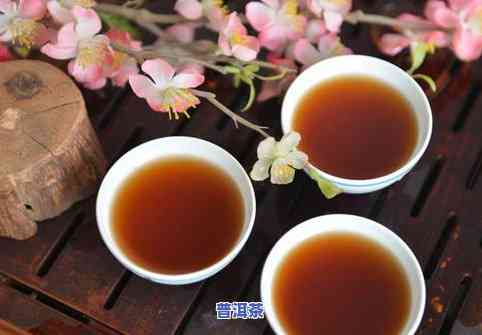 有一种普洱茶不存在茶叶-有一种普洱茶不存在茶叶香味