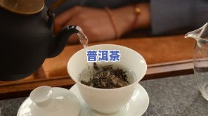 哪种人喝普洱茶好喝一点-哪种人喝普洱茶好喝一点呢