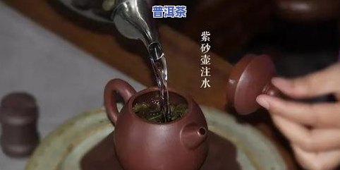 泡8克普洱茶要用多大的紫砂壶，如何选择合适的紫砂壶泡8克普洱茶？