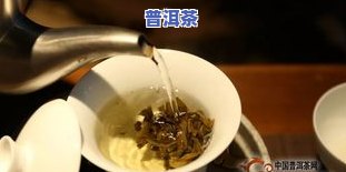 老班章龙珠茶，探寻普洱茶珍品：老班章龙珠的传奇故事与独特口感