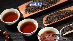 顺坦普洱茶-顺宁普洱茶