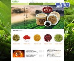 普洱茶叶网站：一站式了解普洱茶的专业平台