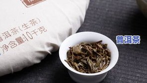 冰岛之春生茶价格及普洱茶、春茶价格表全览