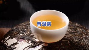 好喝的几款普洱茶排名之一-好喝的几款普洱茶排名之一名