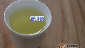 冰岛之邦普洱茶-冰岛之邦普洱茶怎么样