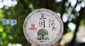 福元昌普洱茶官方店铺地址查询，查询福元昌普洱茶官方店铺地址，轻松获取正品购买信息！