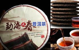 勐海七子饼茶价格表-勐海七子饼茶价格表大全