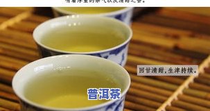 帕沙普洱茶口感跟哪个茶一样，探究帕沙普洱茶的口感，它与哪些茶叶相似？