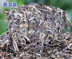 勐库老树茶普洱茶生茶，探寻古老韵味：品尝勐库老树茶普洱茶生茶的独特魅力