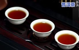 老班长普洱茶的味道与价格，哪款口感更佳？