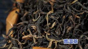 古树普洱茶价钱-古树普洱茶多少钱一斤