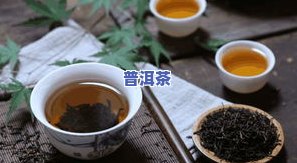 荷叶普洱茶是寒性还是热性？了解其属性才能正确饮用