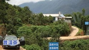 深入解析：冰岛五寨茶口感及其特点排名