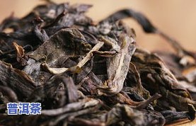 冰岛普洱茶：哪个茶山口感更佳？