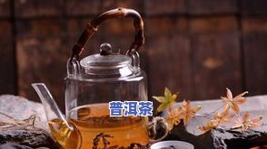 广东人常喝的茶类及品种介绍