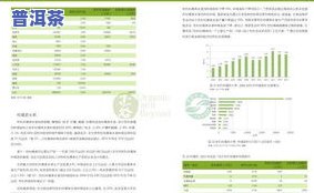 华联茶叶公司概况，深入熟悉华联茶叶公司：一份全面的概况报告