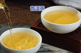 普洱茶里的絮状物是什么，揭秘普洱茶中的絮状物：它是什么？有什么作用？