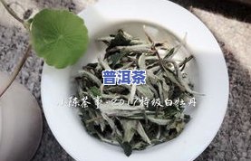 普洱茶内部白色点点：原因与实质解析