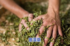 普洱茶压饼的石磨是什么-普洱茶压饼的石磨是什么意思