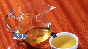 南糯山古树普洱茶图片-南糯山古树普洱茶图片大全