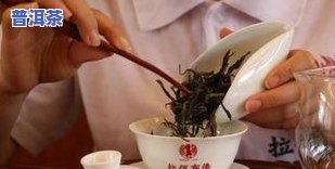 冰岛普洱茶怎么喝，冰岛普洱茶的正确冲泡方法和品尝技巧