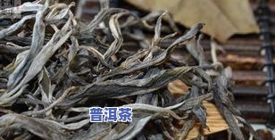 冰岛古树茶的口感特点，探索冰岛古树茶的独特口感魅力