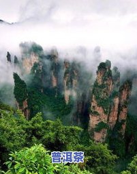 普洱茶天门山地位怎么样-普洱茶天门山地位怎么样好喝吗