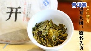 普洱茶新茶泡几次好呢图片-普洱茶新茶泡几次好呢图片大全