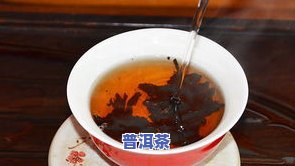 普洱茶老茶头：口感、品质如何评价？