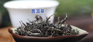 深山部落普洱茶怎么样喝-深山部落普洱茶价格