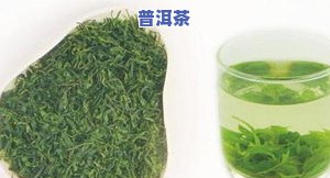 普洱茶能与苦丁混哈吗-普洱茶能和苦丁茶一起泡吗