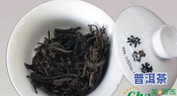 勐海七子饼乔木圆茶-勐海七子饼茶乔木王