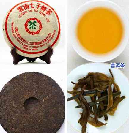 勐海七子饼乔木圆茶-勐海七子饼茶乔木王