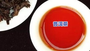 普洱茶能不能焖泡一起喝-普洱茶能不能焖泡一起喝呢