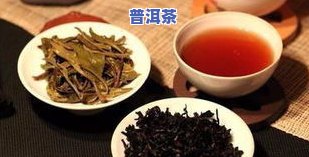 普洱茶能不能焖泡一起喝-普洱茶能不能焖泡一起喝呢