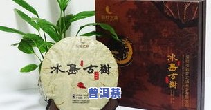 冰岛生态普洱茶-冰岛生态普洱茶怎么样