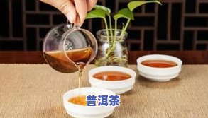 普洱茶发干-普洱茶干燥