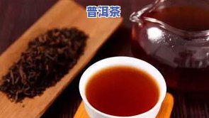 帝普洱茶的作用-帝普洱茶的功效与作用