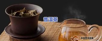 坝歪普洱茶-坝歪普洱茶特点